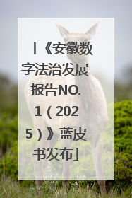 《安徽数字法治发展报告NO.1（2025）》蓝皮书发布