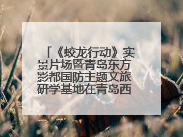 《蛟龙行动》实景片场暨青岛东方影都国防主题文旅研学基地在青岛西海岸新区开业