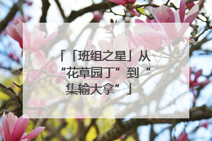 「班组之星」从“花草园丁”到“集输大拿”