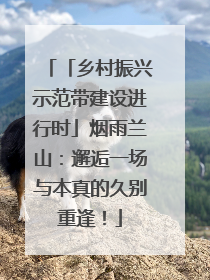 「乡村振兴示范带建设进行时」烟雨兰山：邂逅一场与本真的久别重逢！