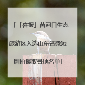 「喜报」黄河口生态旅游区入选山东省微短剧拍摄取景地名单