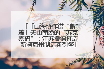 「山海协作谱“新”篇」天山南簏的“苏克密码”：江苏援疆打造新疆克州制造新引擎
