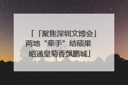 「聚焦深圳文博会」两地“牵手”结硕果 昭通皇菊香飘鹏城