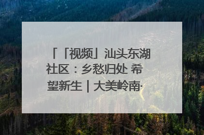 「视频」汕头东湖社区：乡愁归处 希望新生｜大美岭南·百村焕新记