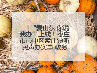 “爱山东·你说我办”上线！枣庄市市中区孟庄镇听民声办实事 政务服务暖心升级