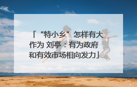 “特小乡”怎样有大作为 刘亭：有为政府和有效市场相向发力