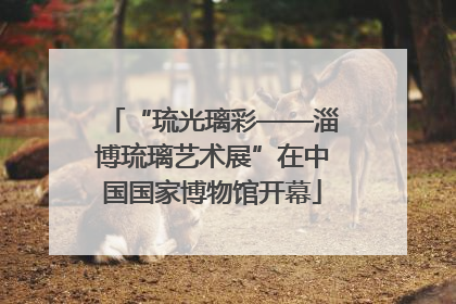 “琉光璃彩——淄博琉璃艺术展”在中国国家博物馆开幕
