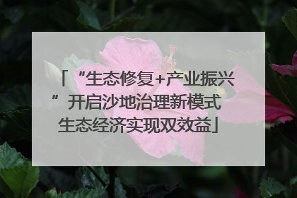“生态修复+产业振兴”开启沙地治理新模式 生态经济实现双效益