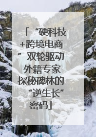 “硬科技+跨境电商”双轮驱动 外籍专家探秘碑林的“逆生长”密码