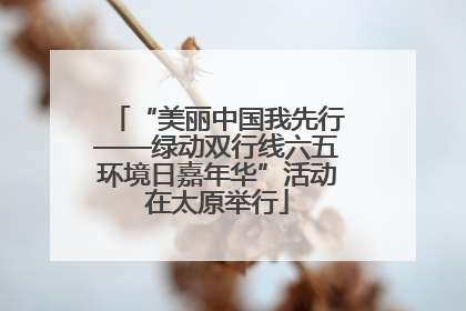 “美丽中国我先行——绿动双行线六五环境日嘉年华”活动在太原举行