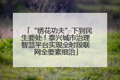 “绣花功夫”下到民生要处！泰兴城市治理智慧平台实现全时段联网全要素细治