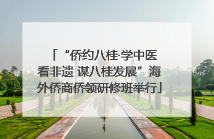 “侨约八桂·学中医 看非遗 谋八桂发展”海外侨商侨领研修班举行