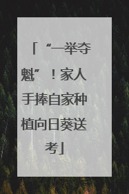 “一举夺魁”！家人手捧自家种植向日葵送考