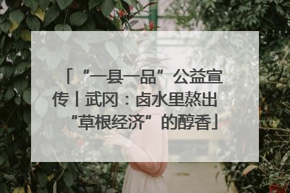 “一县一品”公益宣传丨武冈：卤水里熬出“草根经济”的醇香