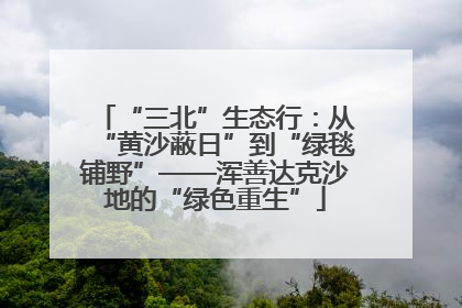 “三北”生态行：从“黄沙蔽日”到“绿毯铺野”——浑善达克沙地的“绿色重生”