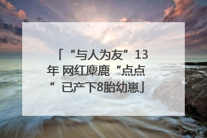“与人为友”13年 网红麋鹿“点点”已产下8胎幼崽
