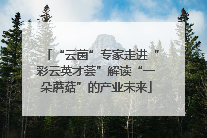 “云菌”专家走进“彩云英才荟”解读“一朵蘑菇”的产业未来