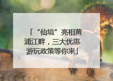 “仙境”亮相黄浦江畔，三大优惠游玩政策等你来