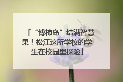 “博柿岛”结满智慧果！松江这所学校的学生在校园里探险