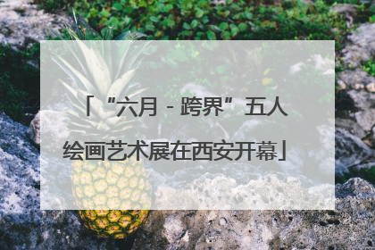 “六月 - 跨界”五人绘画艺术展在西安开幕