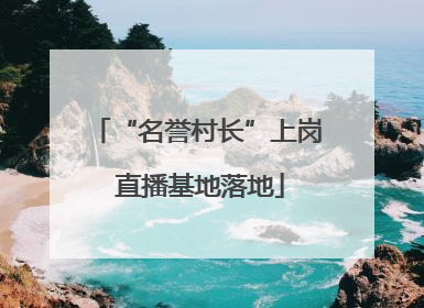 “名誉村长”上岗 直播基地落地