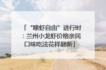 “嗦虾自由”进行时：兰州小龙虾价格亲民口味吃法花样翻新
