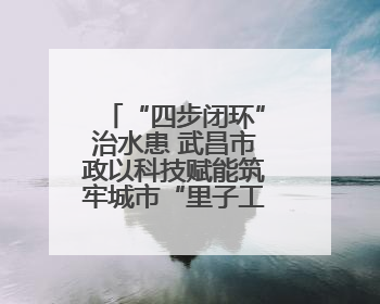 “四步闭环”治水患 武昌市政以科技赋能筑牢城市“里子工程”