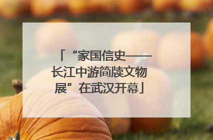 “家国信史——长江中游简牍文物展”在武汉开幕