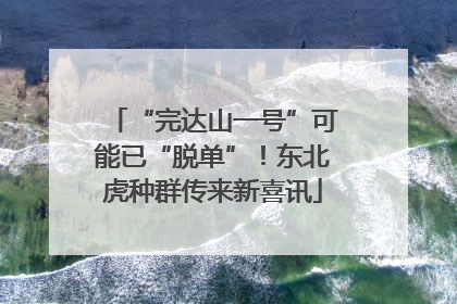 “完达山一号”可能已“脱单”！东北虎种群传来新喜讯