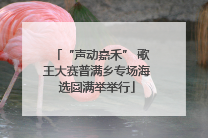 “声动嘉禾” 歌王大赛普满乡专场海选圆满举举行