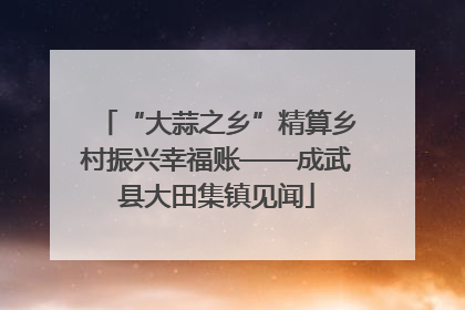“大蒜之乡”精算乡村振兴幸福账——成武县大田集镇见闻