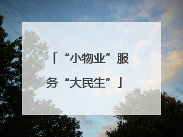 “小物业”服务“大民生”