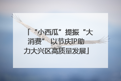 “小西瓜”提振“大消费” 以节庆IP助力大兴区高质量发展