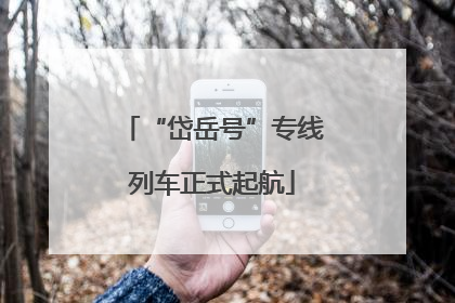 “岱岳号”专线列车正式起航
