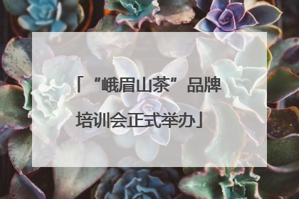 “峨眉山茶”品牌培训会正式举办