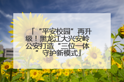 “平安校园”再升级！黑龙江大兴安岭公安打造“三位一体”守护新模式
