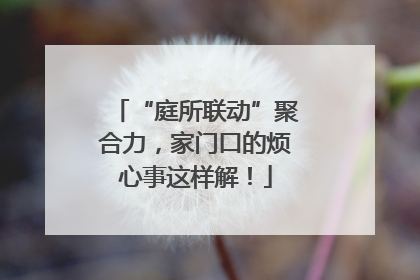 “庭所联动”聚合力，家门口的烦心事这样解！