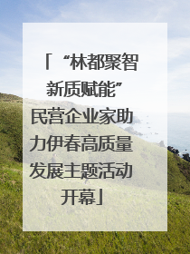 “林都聚智 新质赋能”民营企业家助力伊春高质量发展主题活动开幕