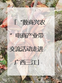 “数商兴农”电商产业带交流活动走进广西三江
