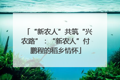 “新农人”共筑“兴农路”：“新农人”付鹏程的稻乡情怀