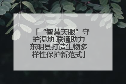“智慧天眼”守护湿地 联通助力东明县打造生物多样性保护新范式