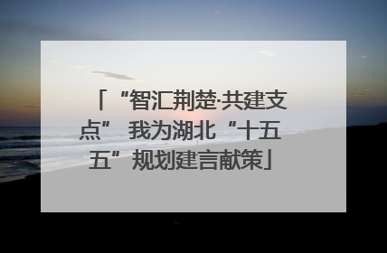 “智汇荆楚·共建支点” 我为湖北“十五五”规划建言献策