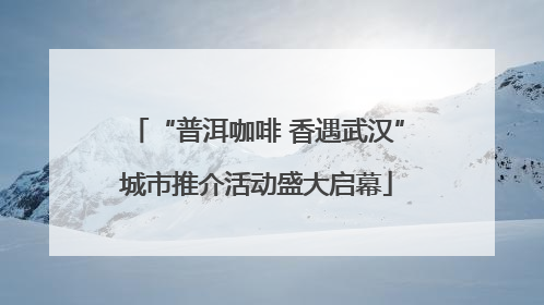 “普洱咖啡 香遇武汉”城市推介活动盛大启幕