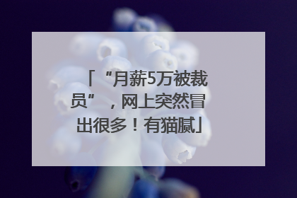 “月薪5万被裁员”，网上突然冒出很多！有猫腻