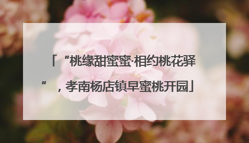 “桃缘甜蜜蜜·相约桃花驿”，孝南杨店镇早蜜桃开园