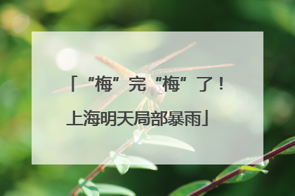 “梅”完“梅”了！上海明天局部暴雨