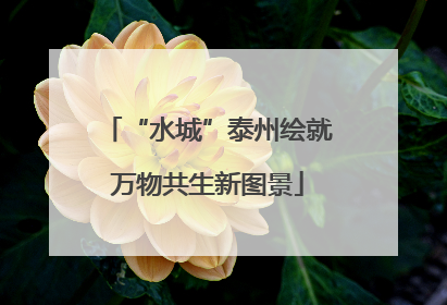 “水城”泰州绘就万物共生新图景