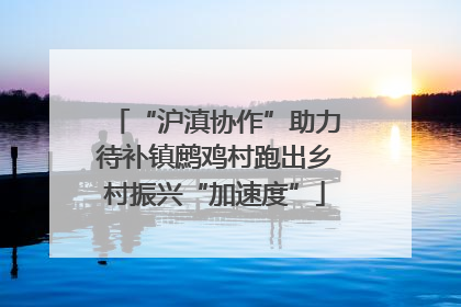 “沪滇协作”助力待补镇鹧鸡村跑出乡村振兴“加速度”
