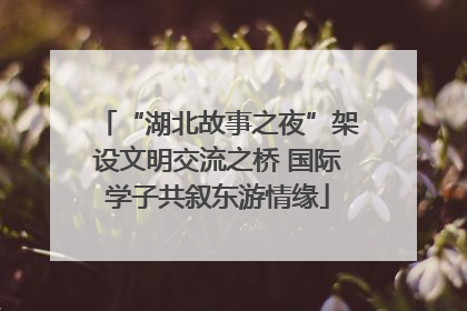 “湖北故事之夜”架设文明交流之桥 国际学子共叙东游情缘
