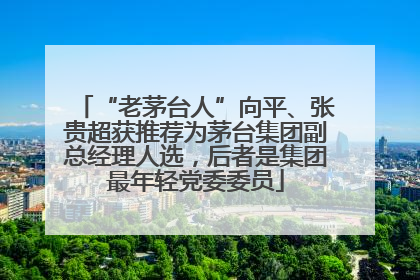 “老茅台人”向平、张贵超获推荐为茅台集团副总经理人选，后者是集团最年轻党委委员